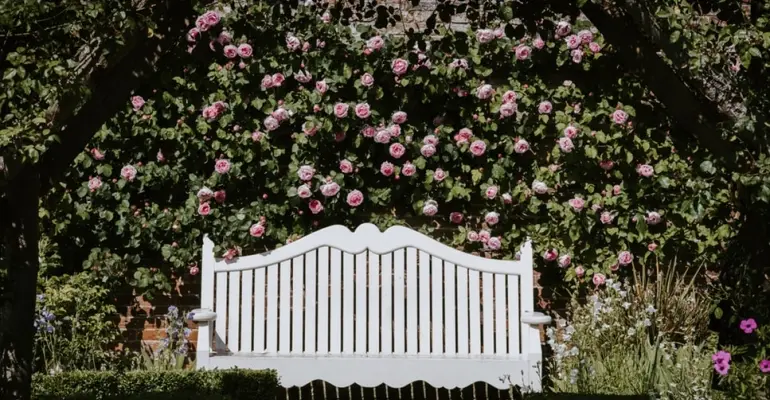 Profesjonalne projektowanie ogrodów – czy warto skorzystać z usług specjalisty?