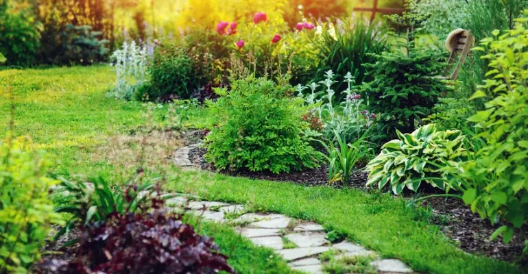 ABC projektowania ogrodu