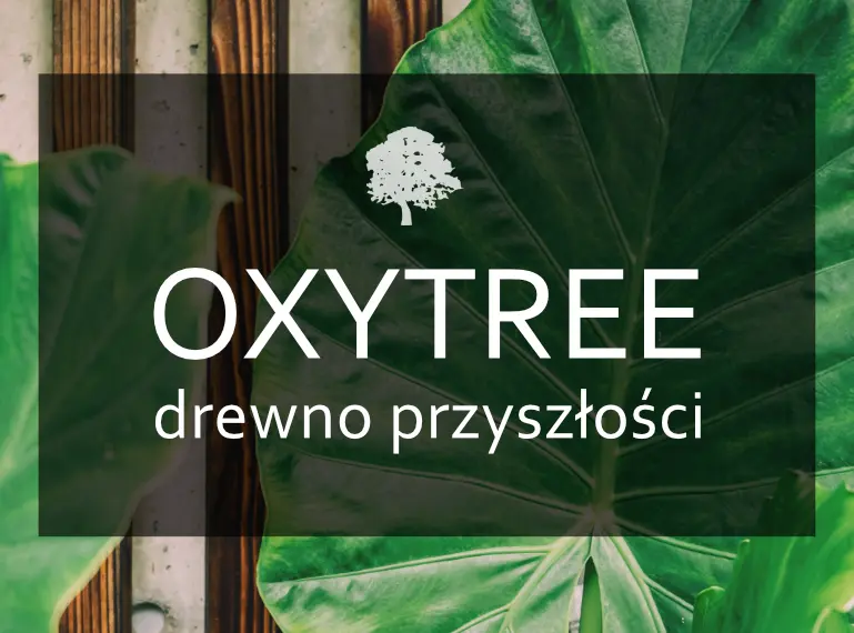 drewno oxytree drewnolandia domy kanadyjskie