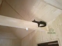 Domek mieszkalny całoroczny CRA8 PLUS - WT 2021 - 35 m² - zdjęcie 24