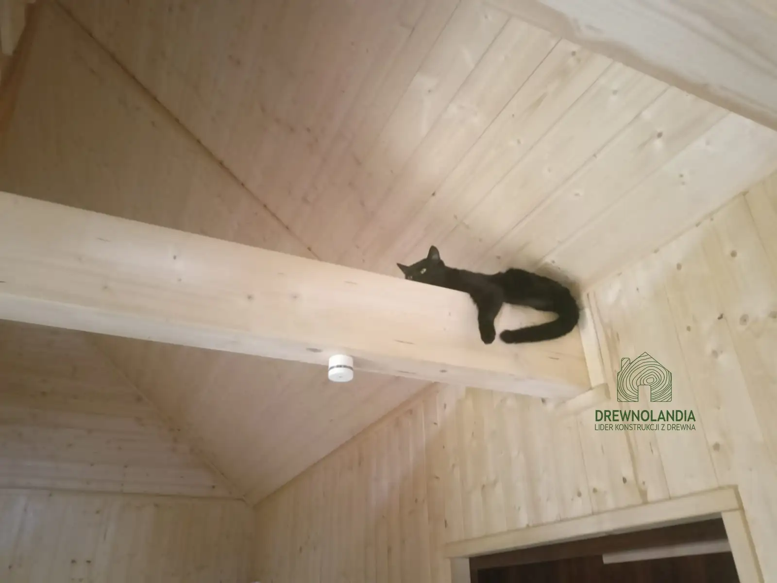 Drewniany domek rekreacyjny całoroczny CRA8 - 35 m²