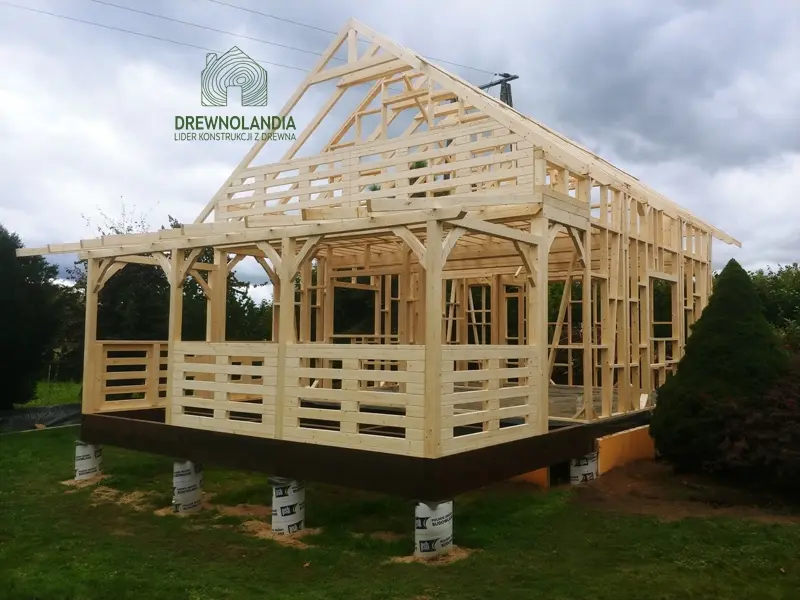 Domek Dawid - wersja szkieletowa