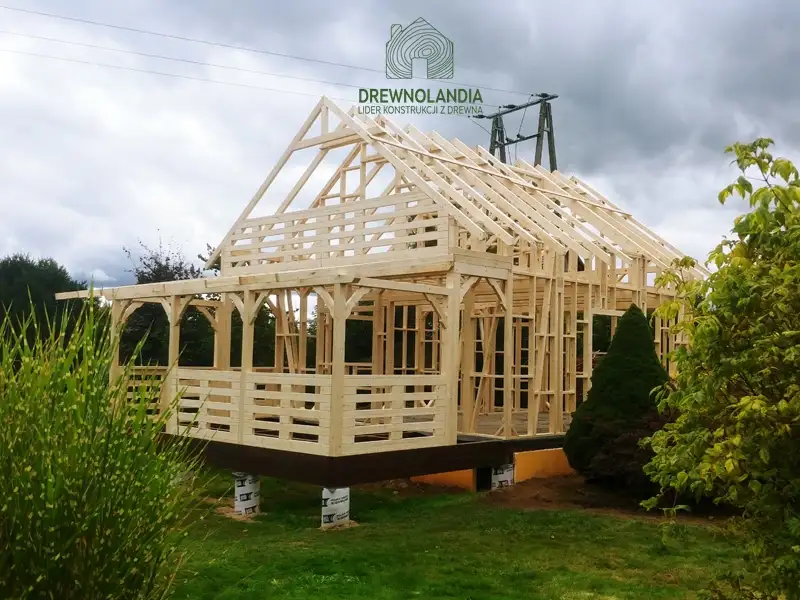 Domek Dawid - wersja szkieletowa